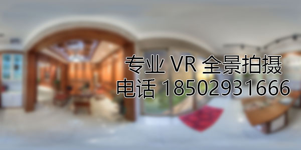 新泰VR全景技术在未来可能的发展方向和应用领域?